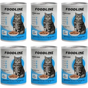 Somonlu Yetişkin Kedi Konservesi 400 gr x 6 Adet