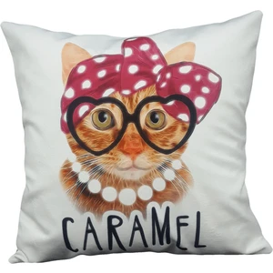 Mrs.gugar Caramel Kedi Kırlent Kılıfı