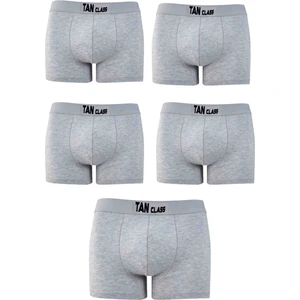 Tan Class 5 'li Gri Boxer