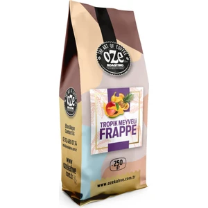 Tropik Meyveli Frappe Tozu 250G