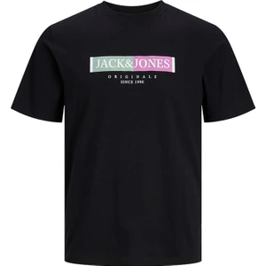 Jack & Jones Erkek T-Shirt 12252681