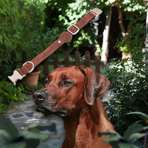 Gerçek Deriden El Yapımı Köpek Tasması 50 cm Antik Taba