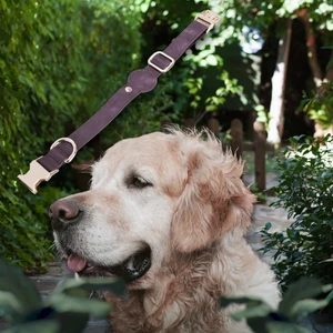 Gerçek Deriden El Yapımı Köpek Tasması, Apple Airtag Uyumlu Yuva, 50CM Ayarlanabilir Ölçü, Antik Mor