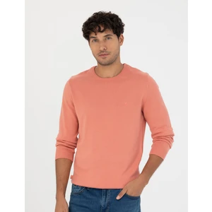 Pierre Cardin Erkek Somon Slim Fit Bisiklet Yaka Basic Triko Kazak 50270179-VR047