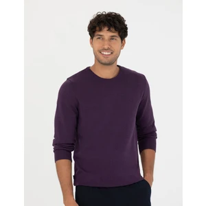 Pierre Cardin Erkek Mor Slim Fit Bisiklet Yaka Basic Triko Kazak 50270179-Vr038