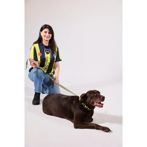 Pawlook,fenerbahçe Lisanslı,köpek Gezdirme Kayışı, Gezdirme Tasması
