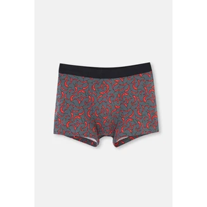 Siyah 5210 Pamuk Desenli Boxer
