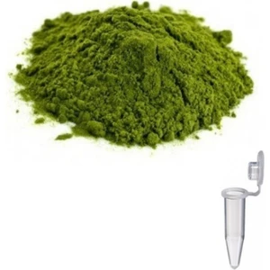 Mum Boyası Pigment 1,5ml Tüp Içerisinde Mum Yapma Malzemeleri Mum Yapımı Renklendirme