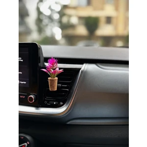 Plantarrium Design Oto Aksesuar/koku-Fuşya