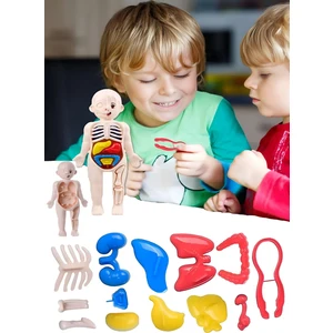 Eğitici Oyuncak İnsan Vücudu Anatomisi Organ Bulmaca Puzzle Bultak Yapboz Montessori