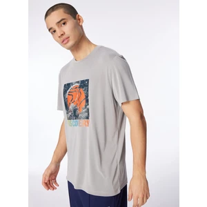 Discovery Expedition Gri Erkek T-Shirt D4SM-TST3280