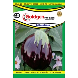 Kademgiller Topan(Adana) Patlıcan