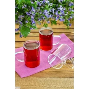 Borosilikat Cam Kupa Seti 3'lü