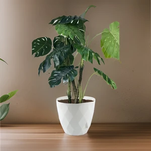 Temmuz Home 9.2 Litre Dekoratif Prizma Desenli Büyük Boy Tabaklı Plastik Saksı Yakamoz No5