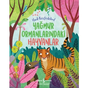 Yağmur Ormanlarındaki Hayvanlar - Hadi Keşfedelim! - Claire Philip