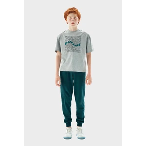 Erkek Çocuk Gri T-Shirt 23PFWNB3505