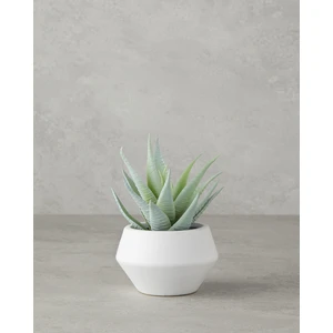 English Home Aloevera Plastik Vazolu Yapay Çiçek Yeşil