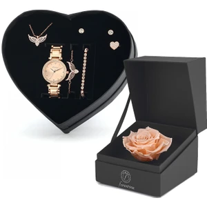 Rose Melek Kanadı Takı Seti Rose Solmayan Gül Hediye Set PS2677