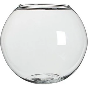 Dayıpet Büyük Boy Cam Fanus