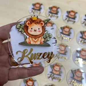 Aslan Boyalı Pleksi Bebek Hediyelik Magnet 10 Adet