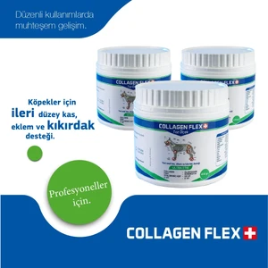 Collagen Flex 400 gr 2 Adet Köpekler Için Kas,eklem Desteği