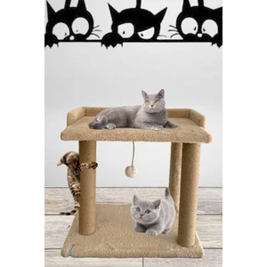 Ponponlu Kedi Tırmalaması ve Kedi Yatağı