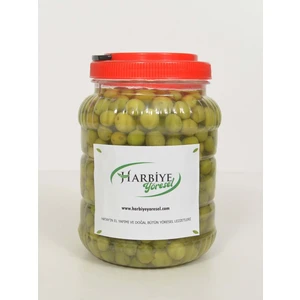 Harbiye Yöresel Halhali Yeşil Zeytin Tatlandırılmış (1 Kg.)