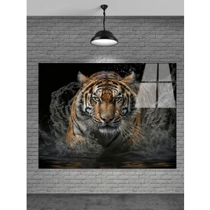 Meta Cam Kaplan Cam Tablo