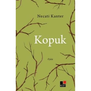 Kopuk - Necati Kanter