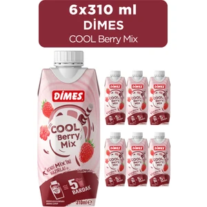 Cool Berry Mix 310 ml 6'lı Paket