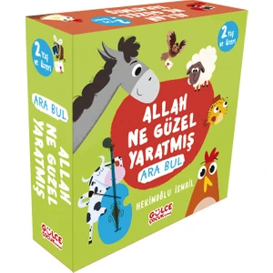 Timaş Çocuk Allah Ne Güzel Yaratmış - Ara Bul Set (4 Kitap)