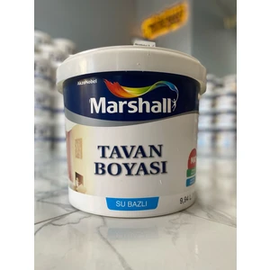 Tavan Boyası