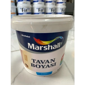 Tavan Boyası