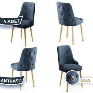 Newa Serisi 4 Adet Sandalye 1.sınıf Babyface Kumaş Gold Kaplama Metal Ayaklı
