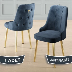 Newa Serisi 1 Adet Sandalye 1.sınıf Babyface Kumaş Gold Kaplama Metal Ayaklı