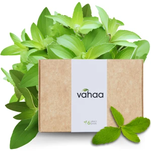Stevia Kiti