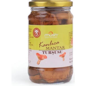 Kanlıca Mantar Turşusu