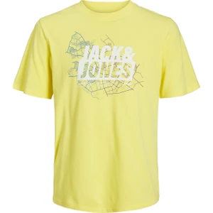 Jack & Jones Core Jcomap Pamuklu Bisiklet Yaka T Shirt Erkek T Shirt 12252376