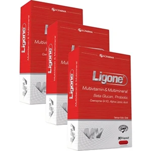 Beta-Glucan Probiotic Multivitamin 30 Kapsül - 3 Kutu