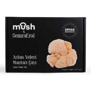 Aslan Yelesi Mantarı Çayı