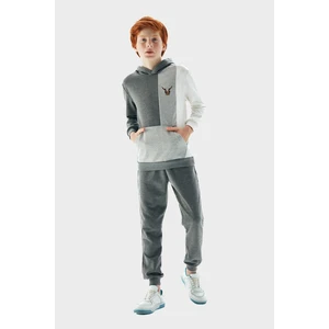 Erkek Çocuk Gri Sweatshirt 23PFWNB3407