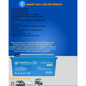 12.8V 220AH (Bluetooth) Lifepo4 Lityum Demir Fosfat Akü(Abs Kasa)