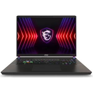 VECTOR 17 HX A14VHG-838XTR Intel Core i9 14900HX 32GB 2TB SSD RTX4080 Freedos 17" QHD+ 240Hz Taşınabilir Bilgisayar