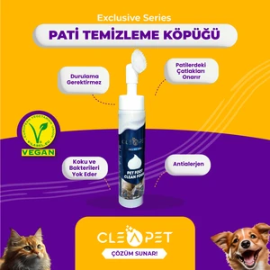 Pati Temizleme Köpüğü