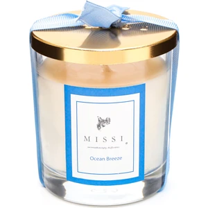 Kapaklı Ocean Breeze Kokulu Vegan Mum (140 gr)