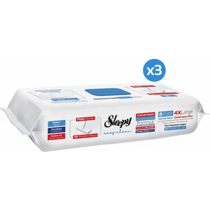 Easy Clean Çamaşır Suyu Katkılı Mopa Uyumlu Yer Temizlik Havlusu&Mendili 3x50 (150 Yaprak)
