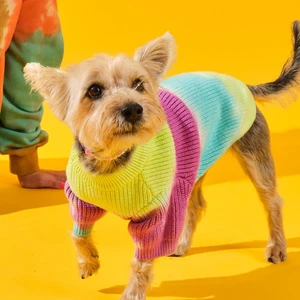 Tie-Dye Köpek Kazağı