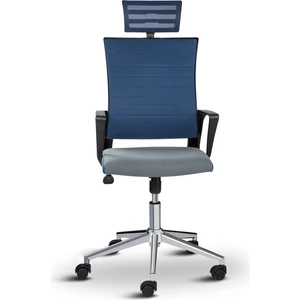 Asbir Mobilya Rigel Başlıklı Metal Ayaklı Çalışma Koltuğu Ofis Sandalyesi