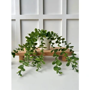 Saksıda Sarkan Okaliptus Yapay Bitki 34 cm Dekoratif İç Mekan Süs Aksesuarı