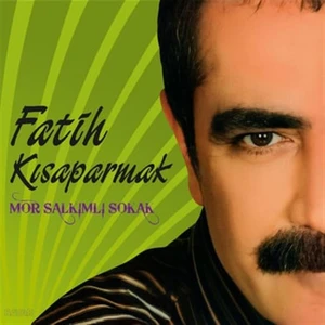 Mor Salkımlı Sokak (Plak)